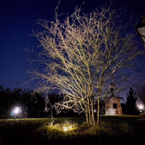 Alternative view of Mark-Spotlight